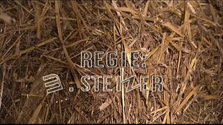 Promienistym сеннен