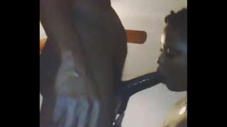 لا شيء مثل الكلبة يحب أن تمتص ديك